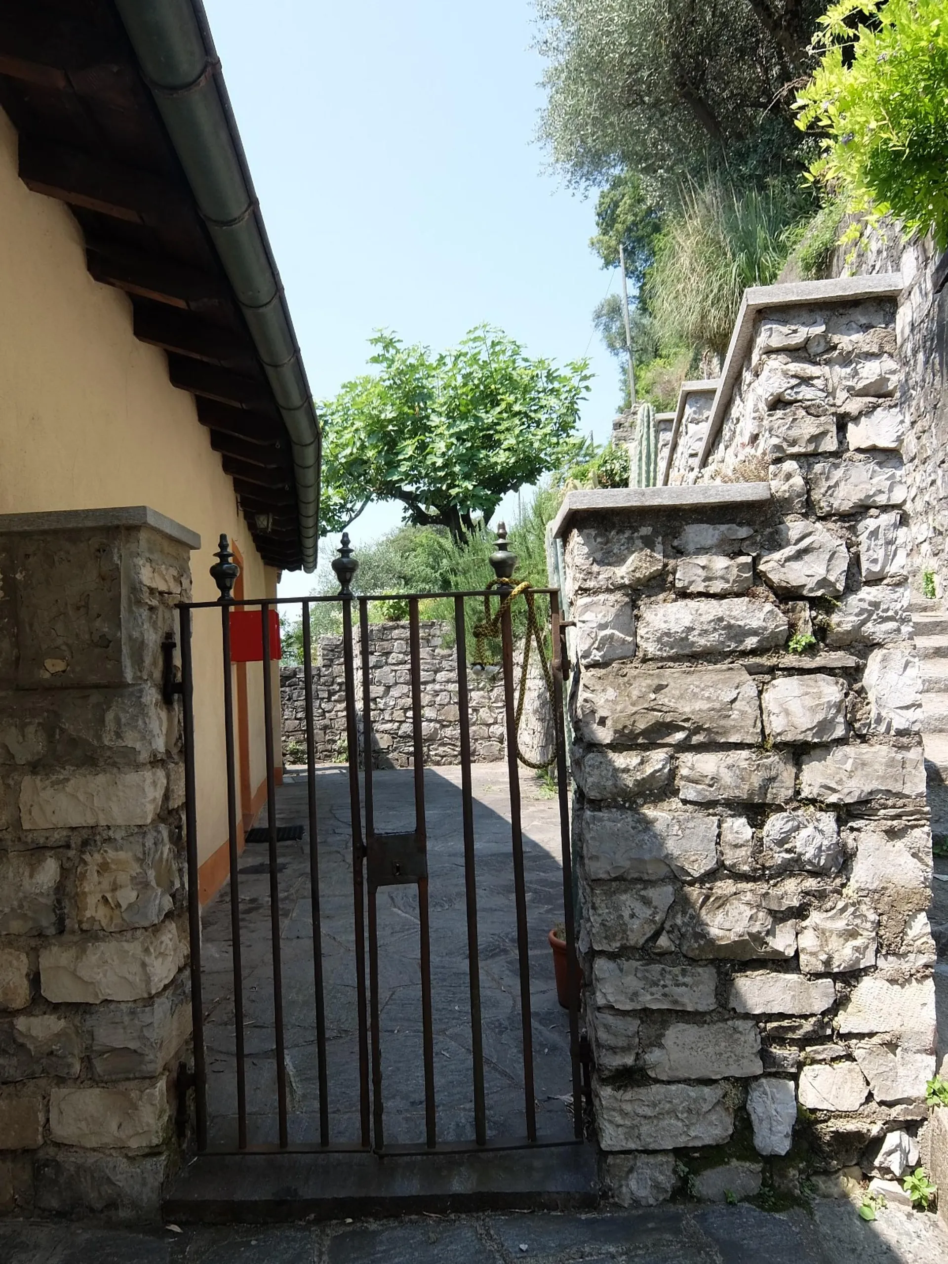 Image 12