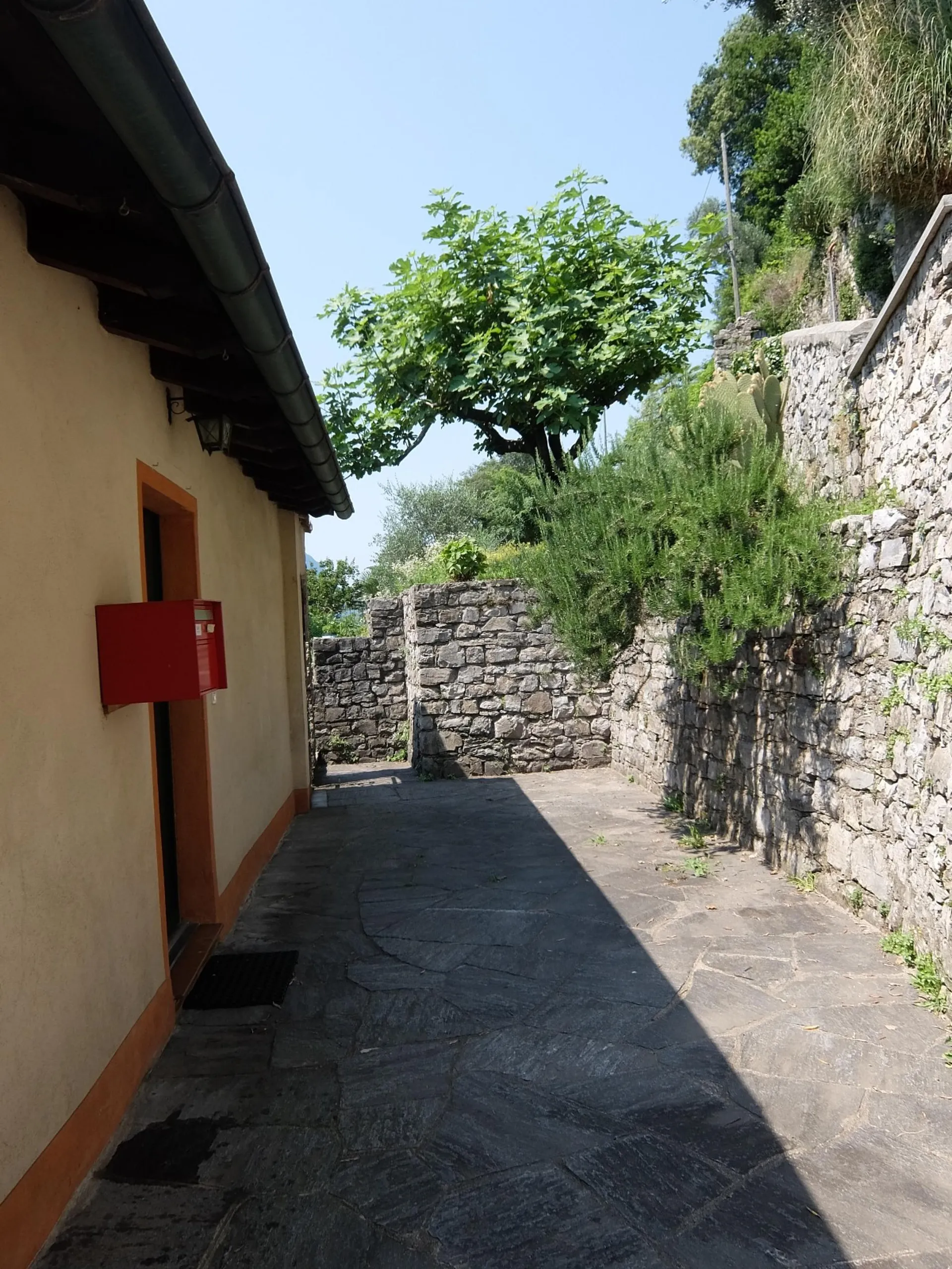 Image 13