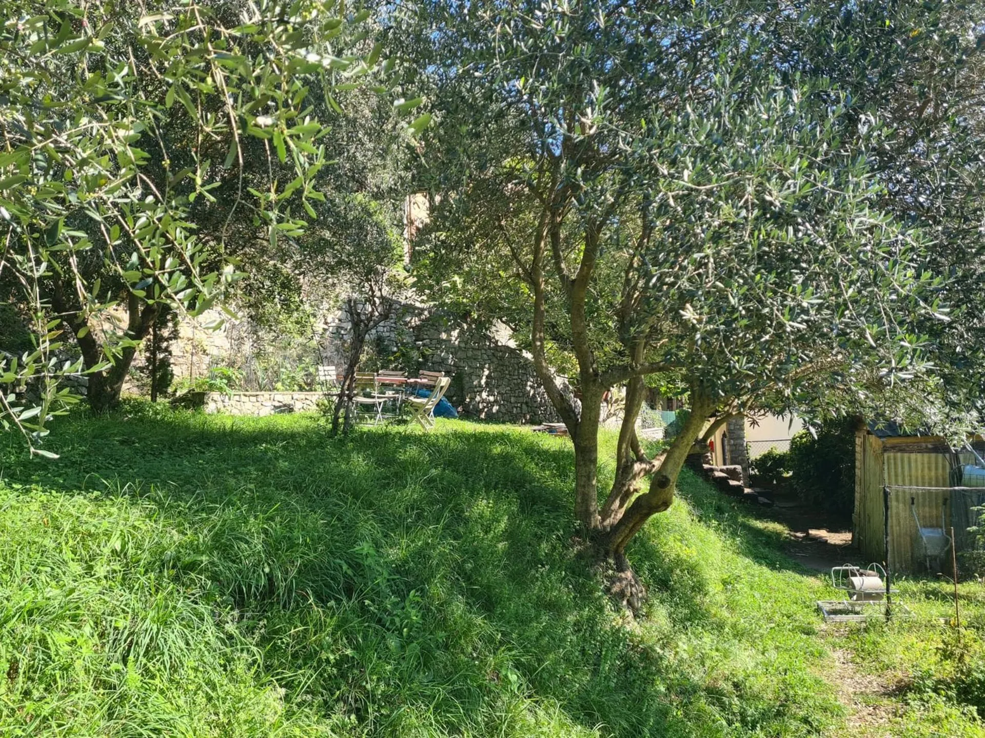 Image 21