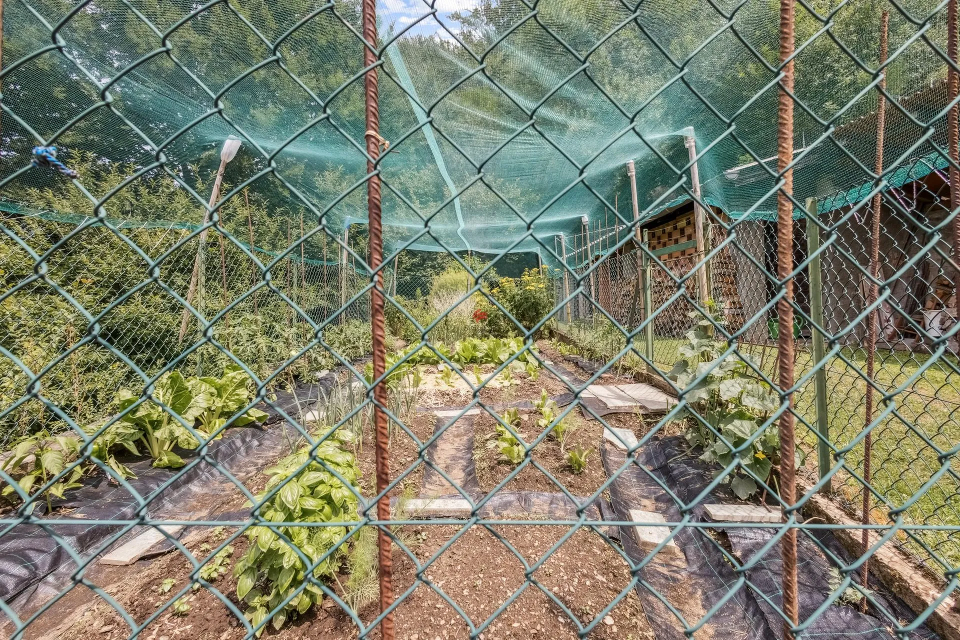 Image 12